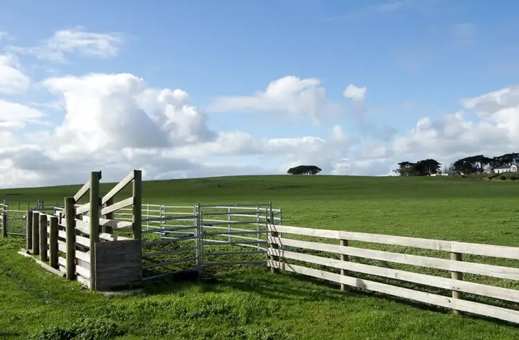 Second view of Homely rural property listing, 123 Drylakes Road, Allansford VIC 3277