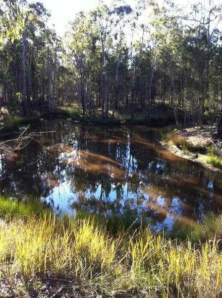 Main view of Homely rural property listing, 0 Hendon Deuchar Road, Deuchar QLD 4362