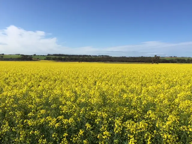 Main view of Homely rural property listing, Lot 15475 Lennard Road, Caljie, York WA 6302