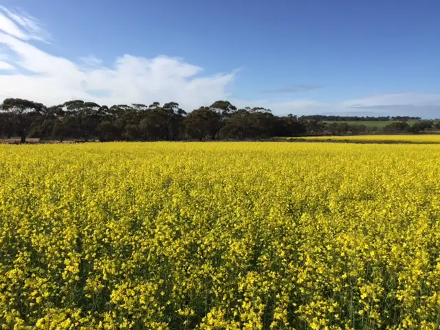 Second view of Homely rural property listing, Lot 15475 Lennard Road, Caljie, York WA 6302