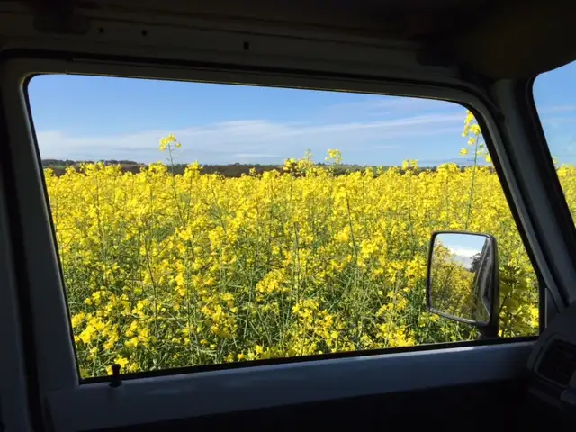 Third view of Homely rural property listing, Lot 15475 Lennard Road, Caljie, York WA 6302