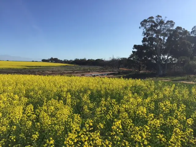 Fourth view of Homely rural property listing, Lot 15475 Lennard Road, Caljie, York WA 6302