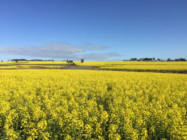 Fifth view of Homely rural property listing, Lot 15475 Lennard Road, Caljie, York WA 6302
