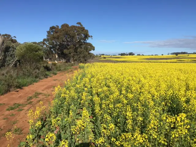Sixth view of Homely rural property listing, Lot 15475 Lennard Road, Caljie, York WA 6302