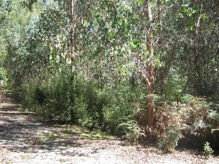 - Dolcoath Road, Moina TAS 7310