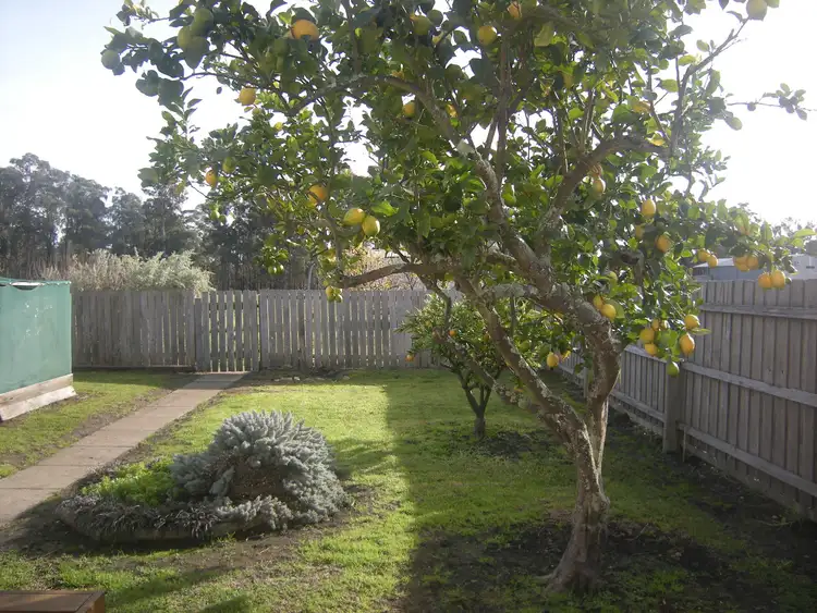 Seventh view of Homely house listing, 5225 Princes Highway, Newmerella VIC 3886