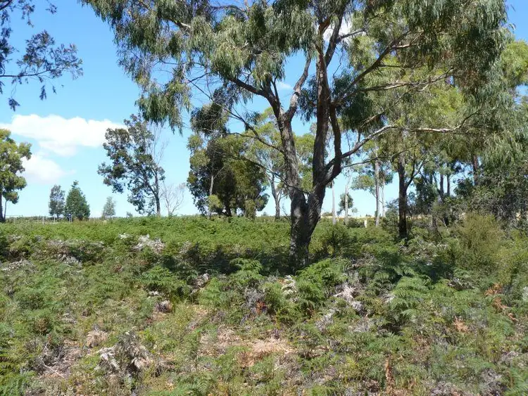 Seventh view of Homely land listing, Lot 7 Black Jack Road, Sloping Main TAS 7186
