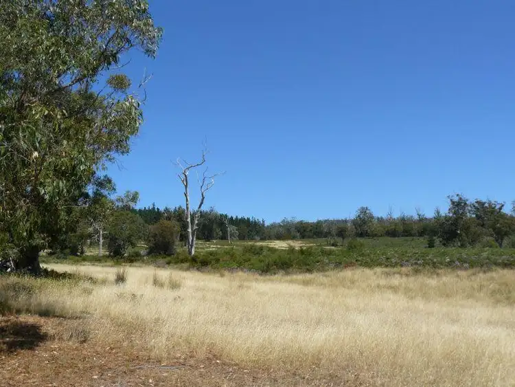Seventh view of Homely land listing, Lot 2 Black Jack Road, Sloping Main TAS 7186