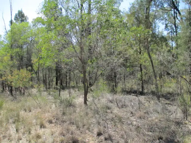 Main view of Homely rural property listing, LOT 29 CHRISTOPHER ROAD, Tara QLD 4421