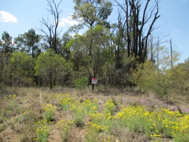 Second view of Homely rural property listing, LOT 29 CHRISTOPHER ROAD, Tara QLD 4421