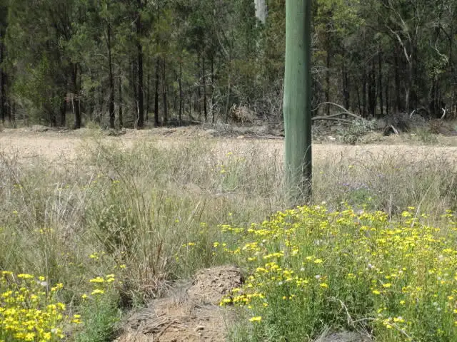 Third view of Homely rural property listing, LOT 29 CHRISTOPHER ROAD, Tara QLD 4421