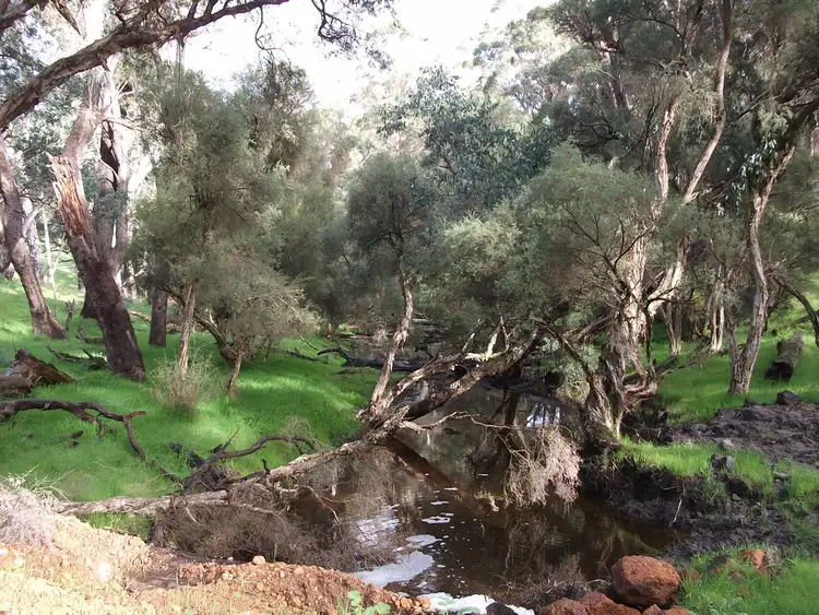 Sixth view of Homely rural property listing, Lot 101 Perup Road, Manjimup WA 6258