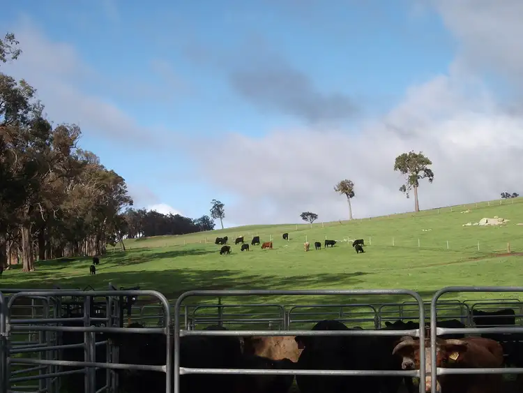 Seventh view of Homely rural property listing, Lot 101 Perup Road, Manjimup WA 6258