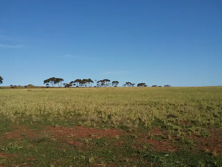 Fourth view of Homely land listing, Lot 201 South Coast Highway, Ravensthorpe WA 6346