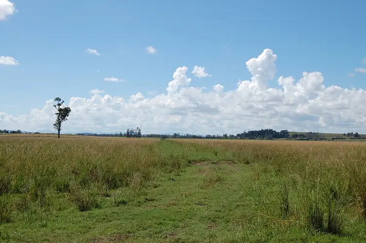 Fifth view of Homely rural property listing, 'Box Hill' Coraki-Ellangowan Road, Coraki NSW 2471