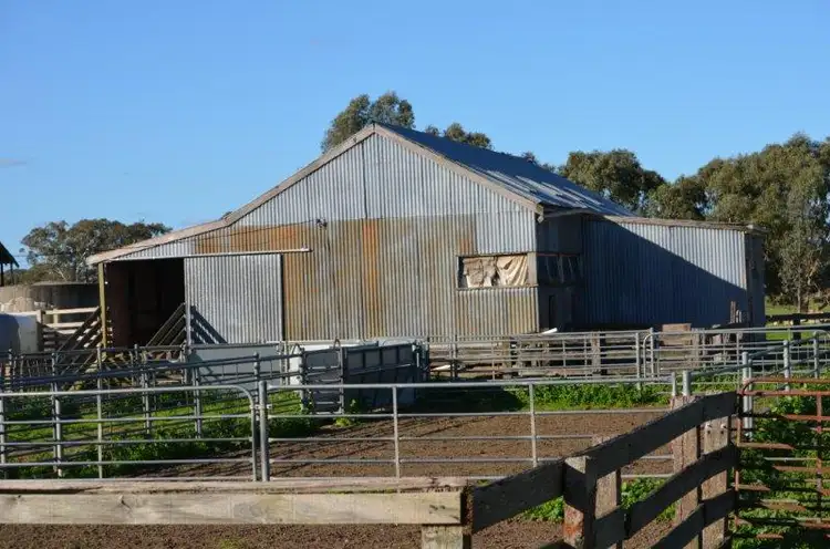 Second view of Homely rural property listing, 49 Burkes Road, Naracoorte SA 5271