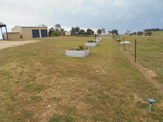 Sixth view of Homely house listing, 24 Kilmarnock Road, Young NSW 2594