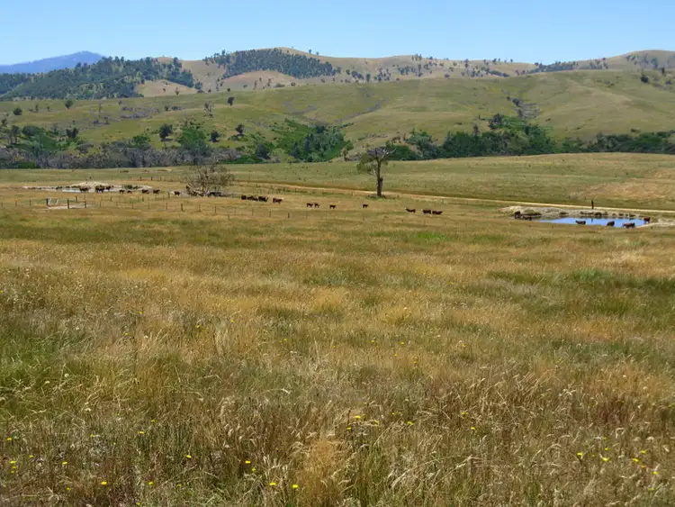 Seventh view of Homely land listing, "Kelly's" Omeo Valley Road, Omeo VIC 3898