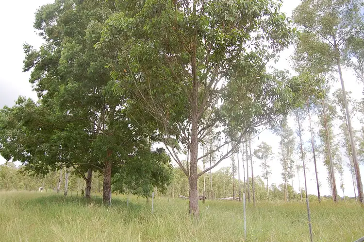 Fifth view of Homely rural property listing, Corner of Knights Road and Dunns Road, Doubtful Creek NSW 2470