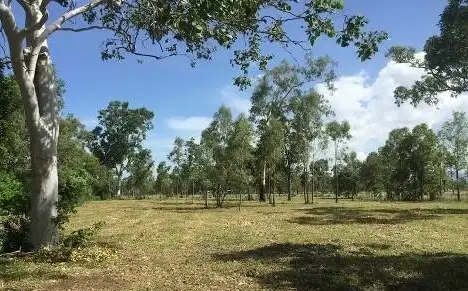 Main view of Homely land listing, 1 Salamander Street, Bluewater QLD 4818