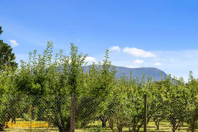 Third view of Homely house listing, 19 Browns Road, Kingston TAS 7050