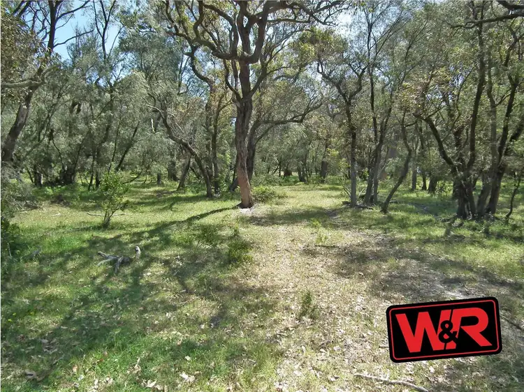 Third view of Homely rural property listing, Lot 3703 Piggott Martin Road, Lowlands WA 6330