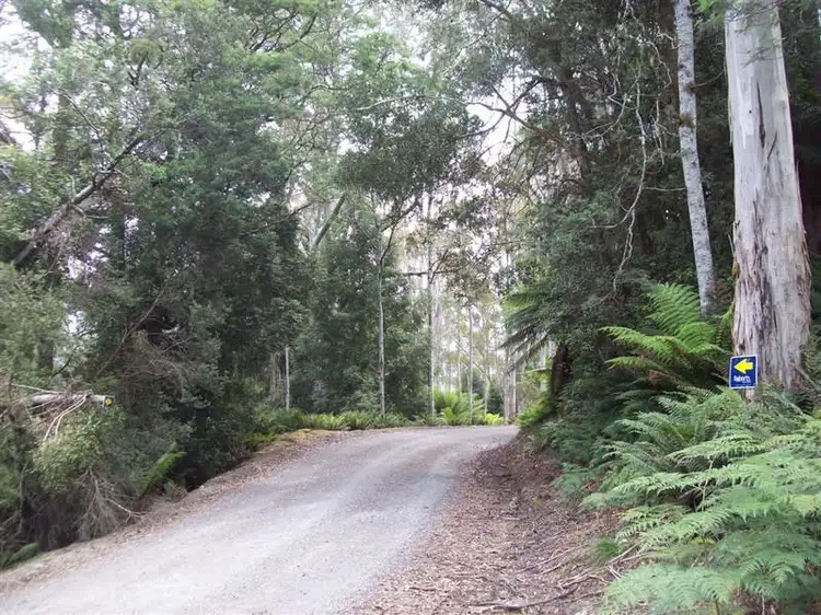 Main view of Homely land listing, Loongana Road, Loongana TAS 7315