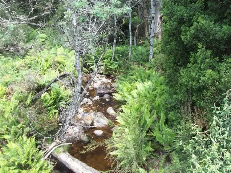 Fifth view of Homely land listing, Loongana Road, Loongana TAS 7315