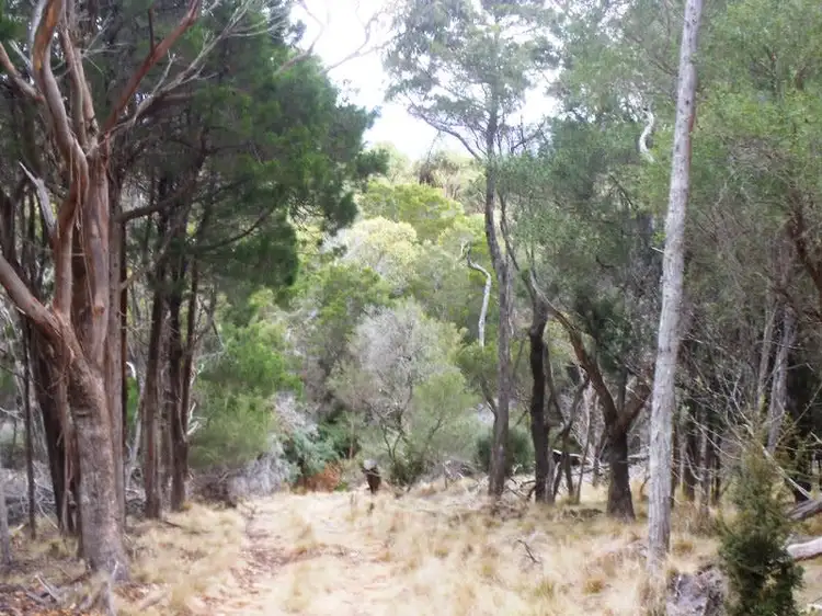 Seventh view of Homely land listing, Lot 9 Edens Road, Palana TAS 7255