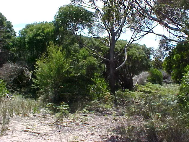 Main view of Homely land listing, Lot 5 Edens Road, Palana TAS 7255