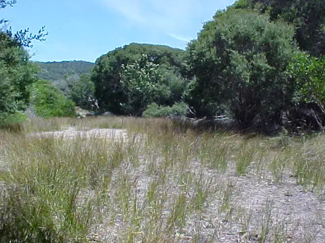Second view of Homely land listing, Lot 5 Edens Road, Palana TAS 7255