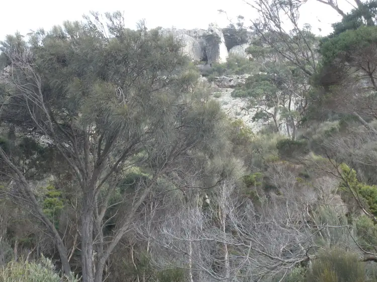Fifth view of Homely land listing, 1 Armstrong Avenue, Killiecrankie TAS 7255