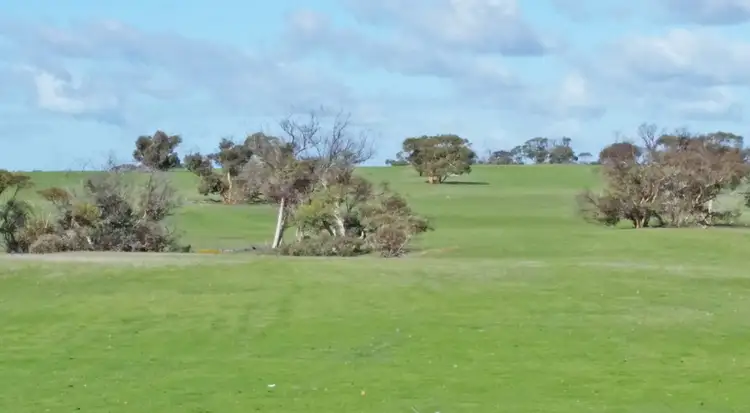 Second view of Homely rural property listing, 562 Garabaldi Willis Rd, Coorow WA 6515