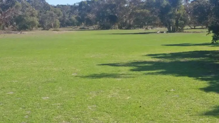 Third view of Homely rural property listing, 562 Garabaldi Willis Rd, Coorow WA 6515