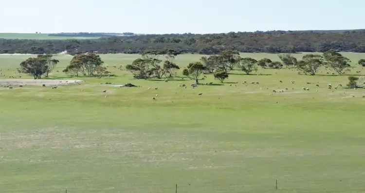 Fifth view of Homely rural property listing, 562 Garabaldi Willis Rd, Coorow WA 6515