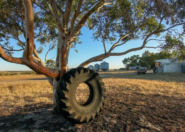 Seventh view of Homely rural property listing, 562 Garabaldi Willis Rd, Coorow WA 6515