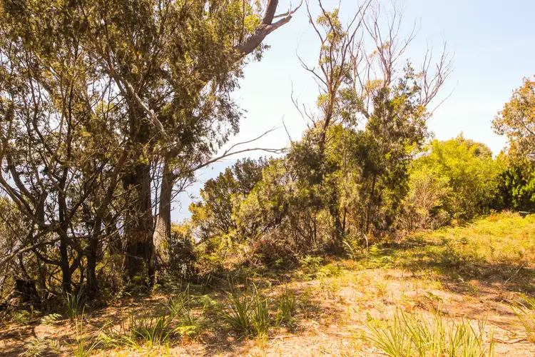Fourth view of Homely land listing, 5 Chimney Heights, Stieglitz TAS 7216