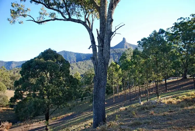 Third view of Homely rural property listing, 427 Pinnacle Road, Pumpenbil NSW 2484