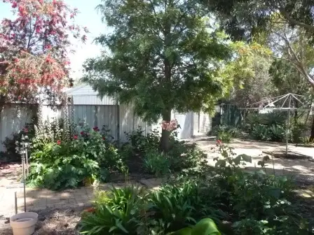 Sixth view of Homely house listing, 12 Parklands Tce, Tailem Bend SA 5260