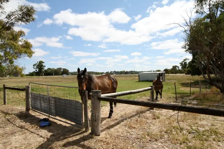 Fifth view of Homely rural property listing, 114 Old Caves Road, Naracoorte SA 5271