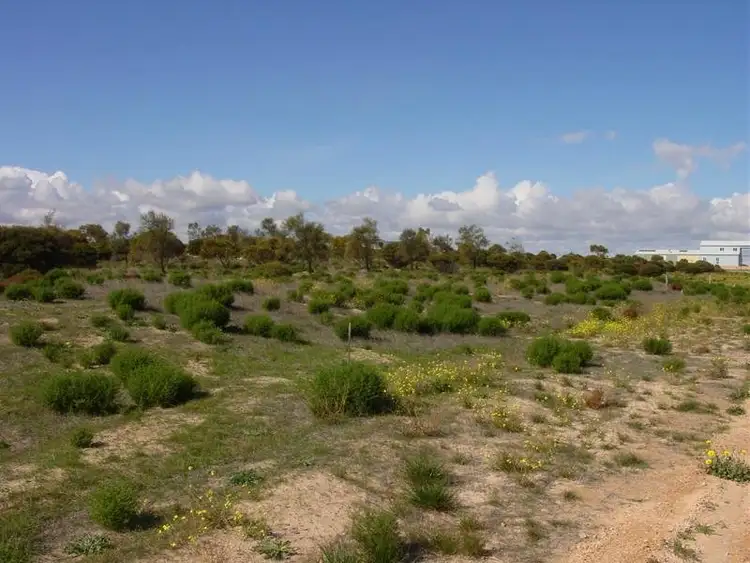 Third view of Homely land listing, Lot 137 Meeinderry Drive, Perlubie SA 5680