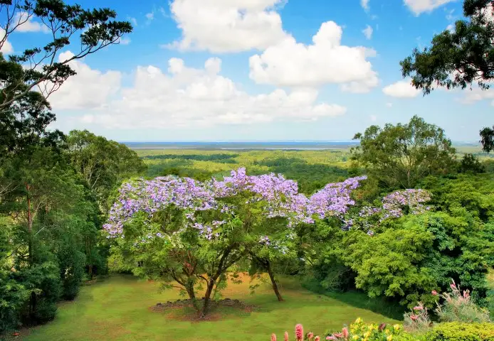 Main view of Homely house listing, 391 Sunrise Road, Doonan QLD 4562