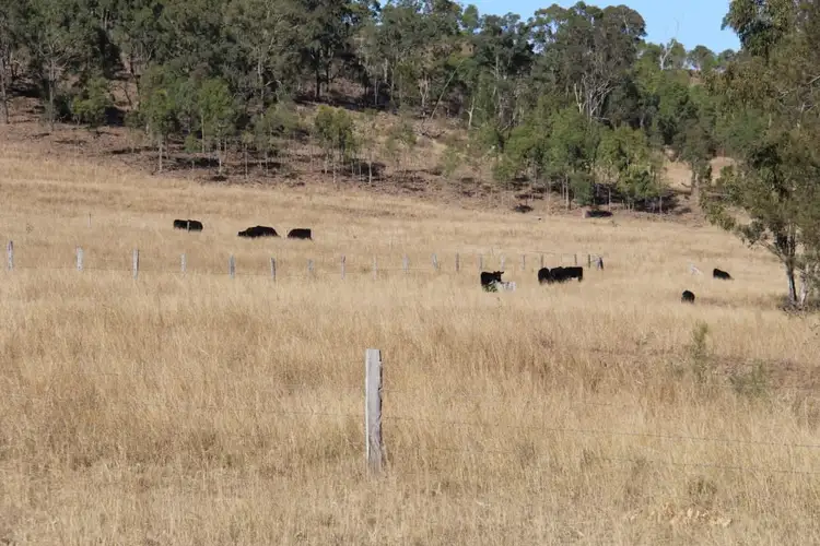 Lot 43 Wengenville Glencliffe rd, Wengenville QLD 4615