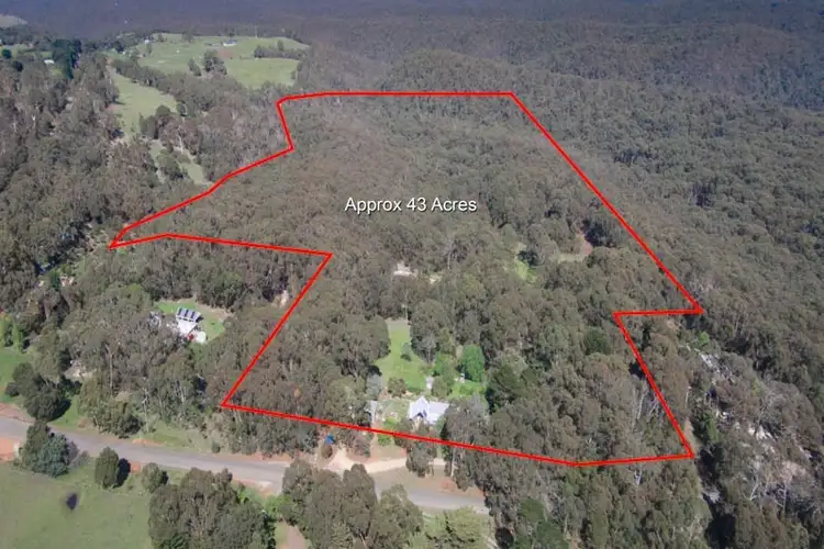 Second view of Homely house listing, 19 Carrolls Lane, Bullengarook VIC 3437