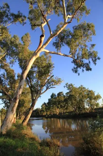Sixth view of Homely rural property listing, 1942 SEVENTEEN MILE LANE, Roma QLD 4455