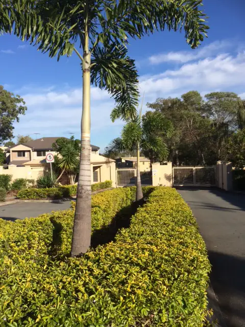 Main view of Homely townhouse listing, Address available on request