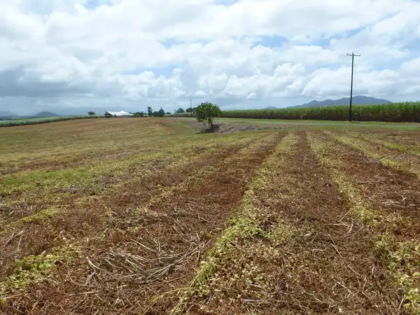 Main view of Homely land listing, Address available on request