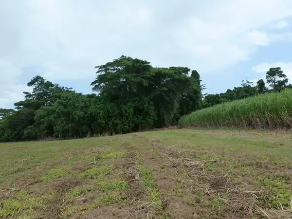 Fourth view of Homely land listing, Address available on request