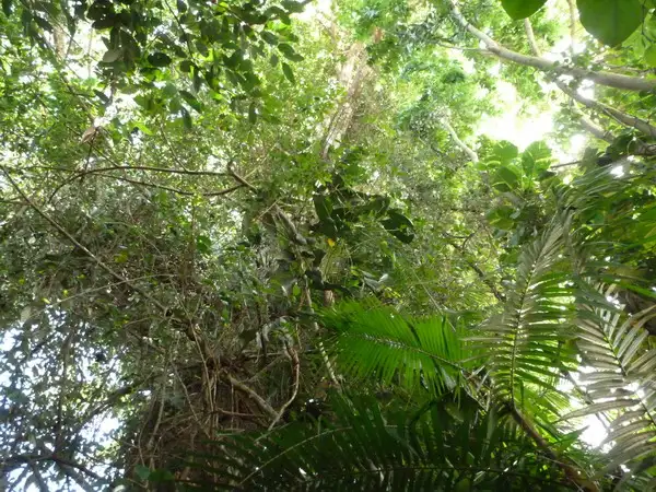 Seventh view of Homely land listing, Address available on request