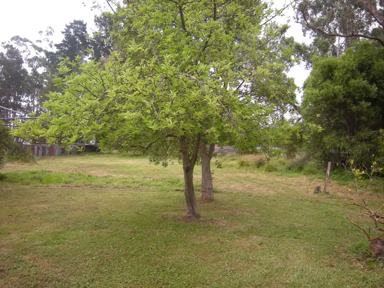Fifth view of Homely house listing, 19 Tamboon Road, Cann River VIC 3890